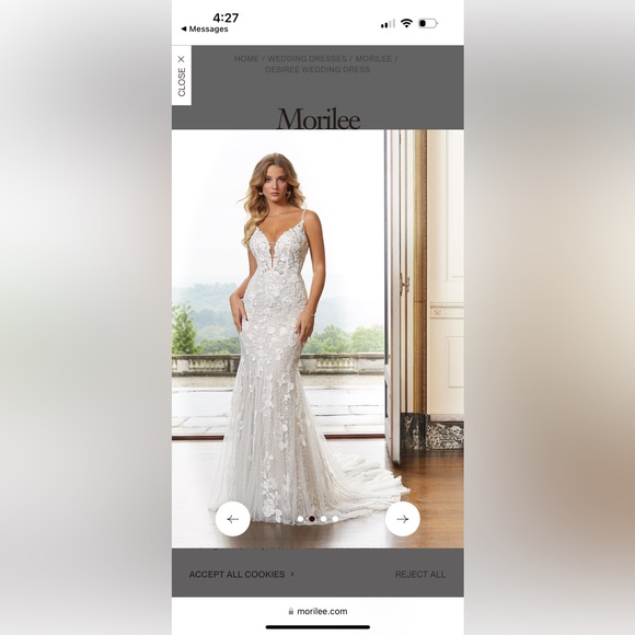 Morilee Desiree Wedding Dress & Cathedral Veil - Picture 4 of 7